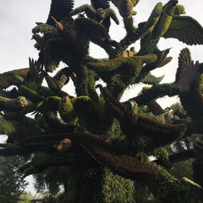 The Canadian Genocide The Canadian Genocide