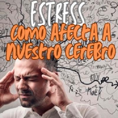 ¿Como afecta el estrés a nuestro cerebro?