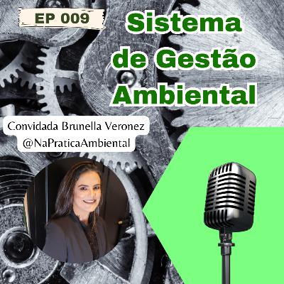 Sistema de Gestão Ambiental (EP 009)
