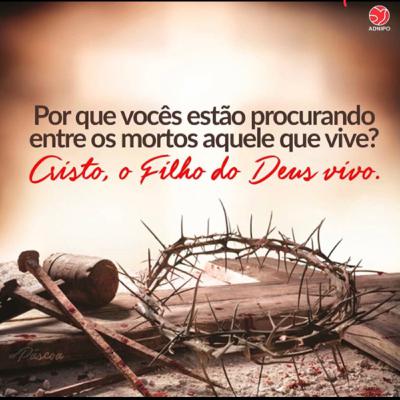 Hasta luego, y gracias por todo el pescado. Capítulo 34