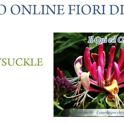 Corso online fiori di Bach - Honeysuckle