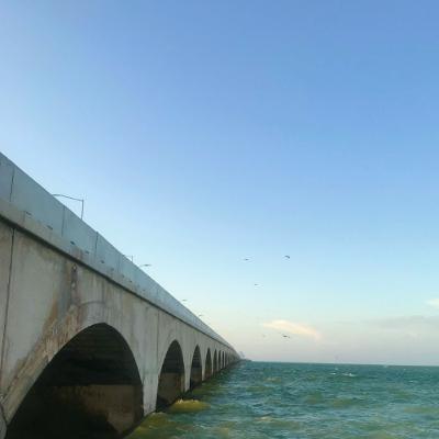 Apuesta gobernador de Yucatán por infraestructura en Puerto Progreso Apuesta gobernador de Yucatán por infraestructura en Puerto Progreso