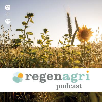 Regenerating soft commodity supply chains