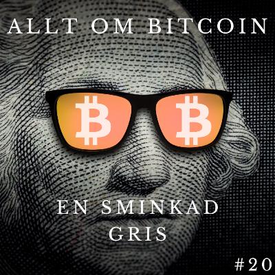 #20 En sminkad gris #20 En sminkad gris