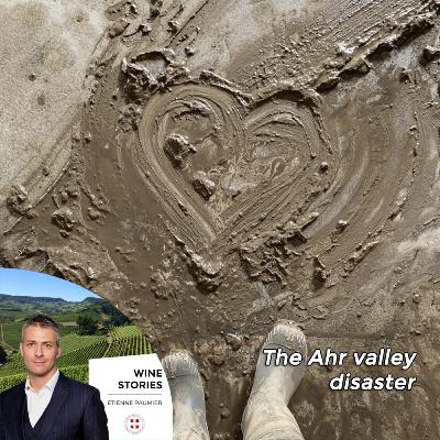 Wine Stories - S2E10 - The Ahr valley disaster