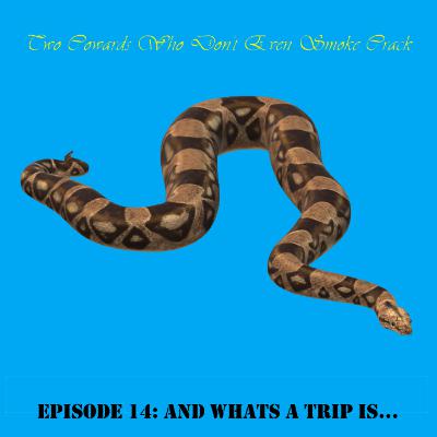 14. And What's A Trip Is... 14. And What's A Trip Is...