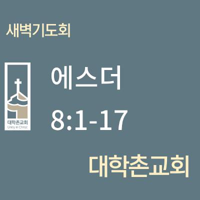 250520 새벽 | 에스더 8:1-17 | 대학촌교회 | 매일성경