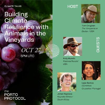 Building Climate Resilience with Animals in the Vineyards - Climate Talk by Porto Protocol