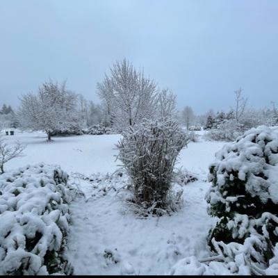 The Purpose of Snow The Purpose of Snow