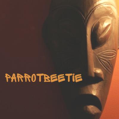 Episode 17: Parrotbeetie and Lukeyism: Barbados, Crop Over, and Queerness Episode 17: Parrotbeetie and Lukeyism: Barbados, Crop Over, and Queerness