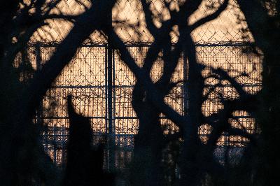 Meet the publisher of Australia's only prison newspaper Meet the publisher of Australia's only prison newspaper