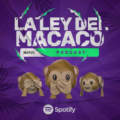 Ley 20.898 - Desregularizando lo regularizado