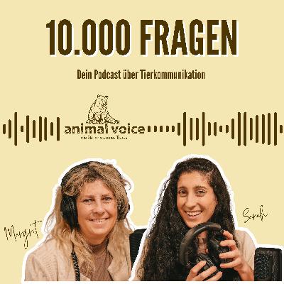 Folge 14: Was Hunde aus dem Tierschutz uns erzählen