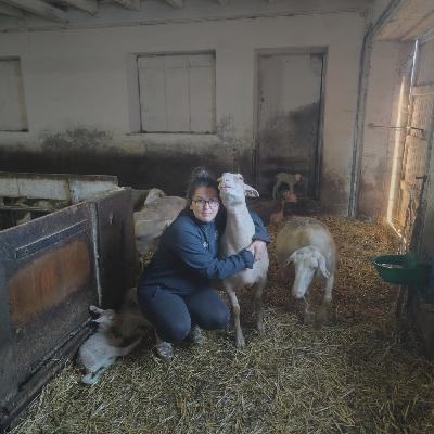 La fierté de produire pour l'AOP Roquefort selon Alice La fierté de produire pour l'AOP Roquefort selon Alice