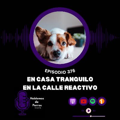 EP#376: Perro tranquilo en casa, reactivo en la calle EP#376: Perro tranquilo en casa, reactivo en la calle