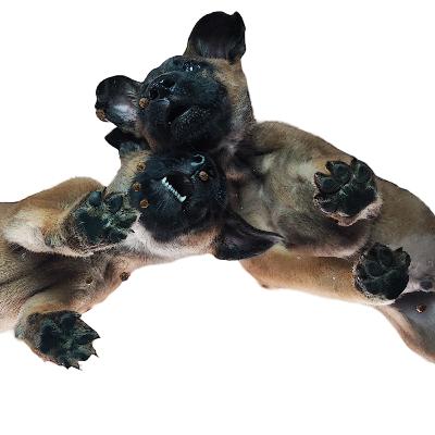 Auf festen Pfoten: Körperbewusstsein beim Welpen schulen. Welpen in der Physiotherapie Auf festen Pfoten: Körperbewusstsein beim Welpen schulen. Welpen in der Physiotherapie