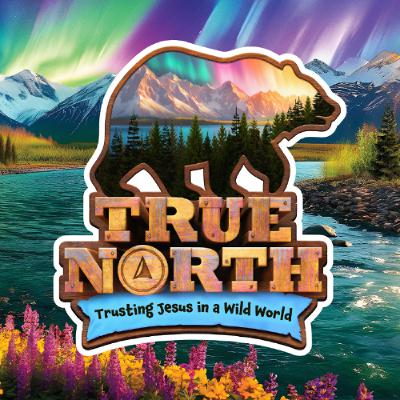 True North: Trusting Jesus in A Wild World