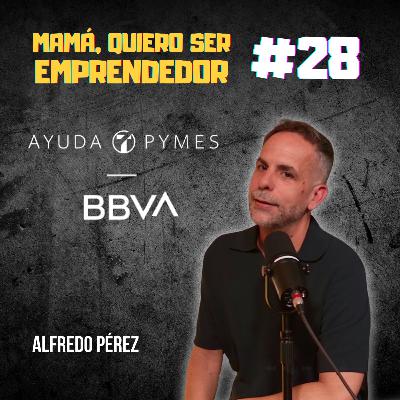 CÓMO CREAR TU EMPRESA SIN COMPLICACIONES BUROCRÁTICAS | ¿QUIERES EMPEZAR UN NEGOCIO?