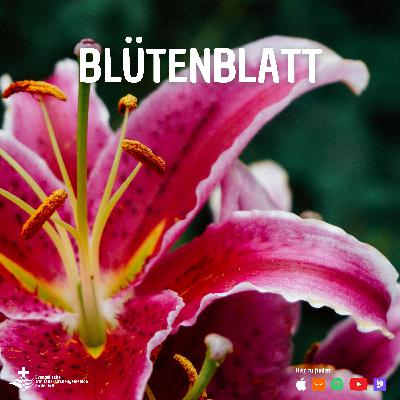 Blütenblatt Blütenblatt