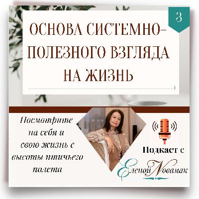 Эпизод 3. Основа системно-полезного взгляда на жизнь. Эпизод 3. Основа системно-полезного взгляда на жизнь.