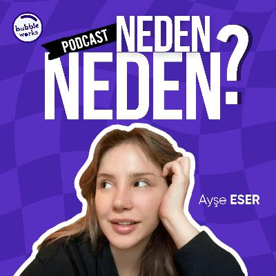 Neden Neden? Tanıtım