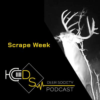 #85 - SCRAPE WEEK | #1 Late October Hunting Strategy... #85 - SCRAPE WEEK | #1 Late October Hunting Strategy...