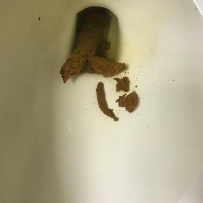 Poop Podcast episode 1