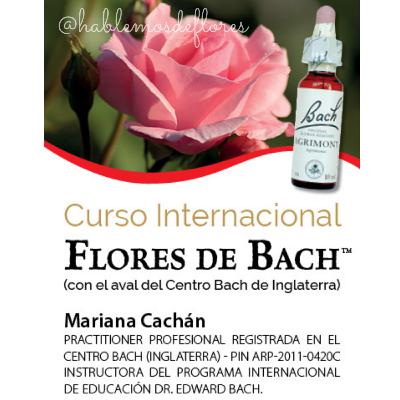 Programa Internacional de Formación en Flores de Bach 🌿