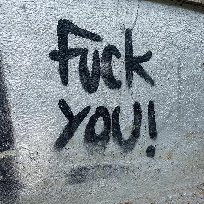 Strafrecht - Die Grenzen der Meinungsfreiheit bei Beleidigungen