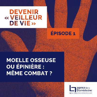 Moelle osseuse et moelle épinière : même combat ?