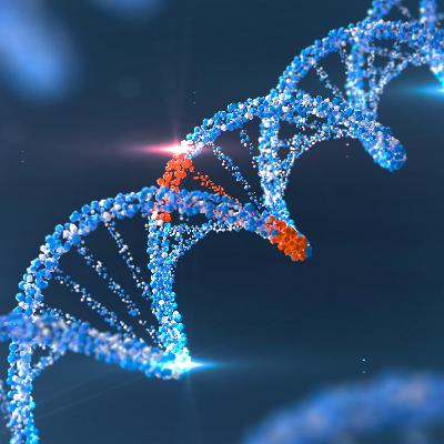 EP41 :: Mutações no mercado pet