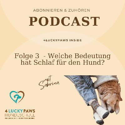 Folge 3 - Welche Bedeutung hat Schlaf für den Hund
