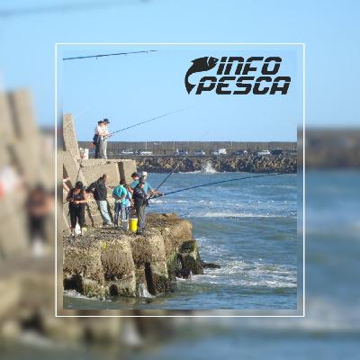 Info Pesca MDQ (01-10-2025) x 471 Info Pesca MDQ (01-10-2025) x 471