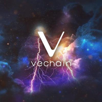 Knowledge, Wisdom, And Crypto! Special Guest Blockchain Monkeyz!