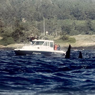 Episode 34 - The Legacy of Captain Jim Maya