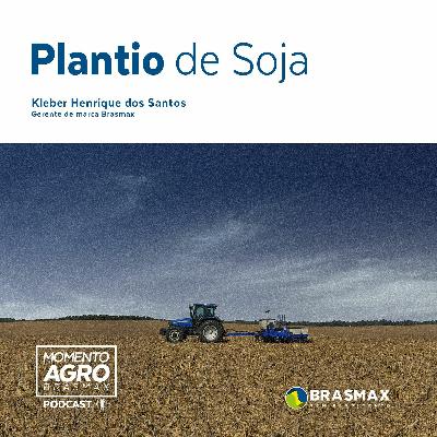 Momento AGRO Brasmax #08 – Plantio de Soja
