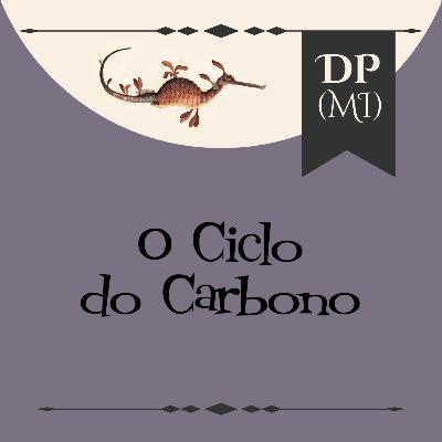 O ciclo do carbono