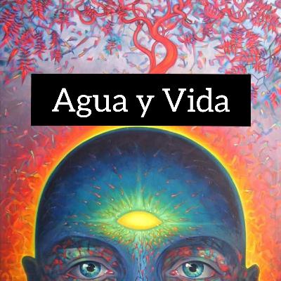 El Agua y la Vida "ABC de la Sabiduría" (2)