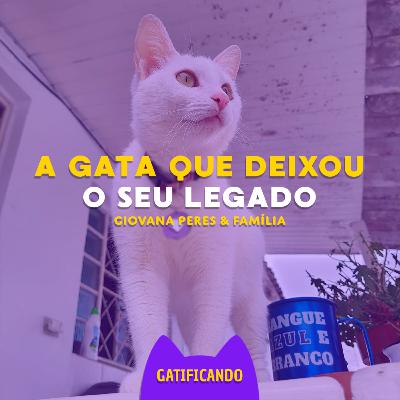 Cora, a mãezinha que deixou seu legado. (Giovana & Família) Gatificando #40