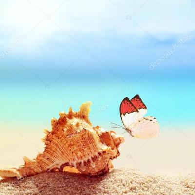 #6 - Feriado na Praia