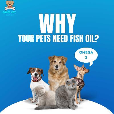 Why Your Pets Need Fish Oil ? Why Your Pets Need Fish Oil ?