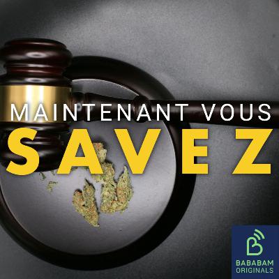La légalisation du cannabis pourrait-elle vraiment mettre fin au narcotrafic ?