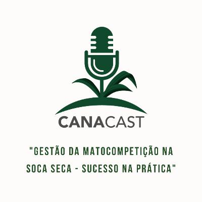 GESTÃO DA MATOCOMPETIÇÃO NA SOCA SECA - SUCESSO NA PRÁTICA