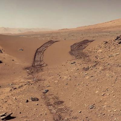 384E-420-Dry Sands 384E-420-Dry Sands