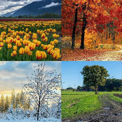 Every Season is a Good Season