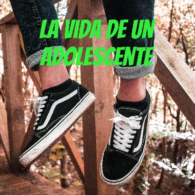 Escuela-Sistema Educativo