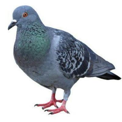 Lo primero es lo primero