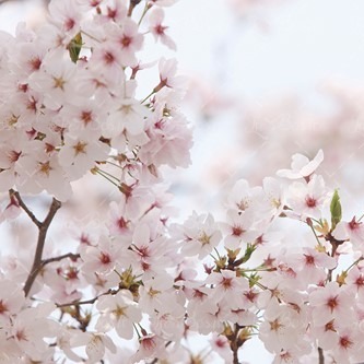 آواهای کم‌شنیده از دیروز تا امروز • نوروز ۱۳۹۸