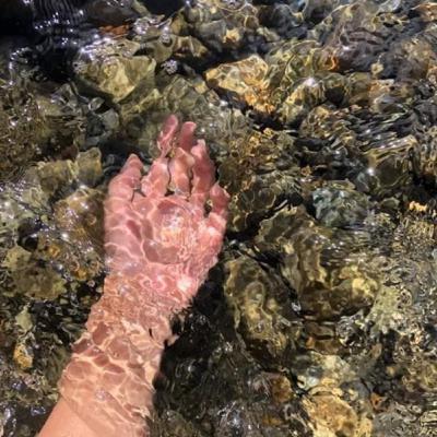 Baño de Descarga Energética (Herbolaria) + Meditación