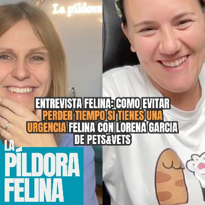 555. Entrevista Felina: Como EVITAR PERDER TIEMPO si tienes una Urgencia Felina con Lorena Garcia de Pets&Vets 555. Entrevista Felina: Como EVITAR PERDER TIEMPO si tienes una Urgencia Felina con Lorena Garcia de Pets&Vets